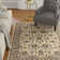 Oriental Indoor Rug