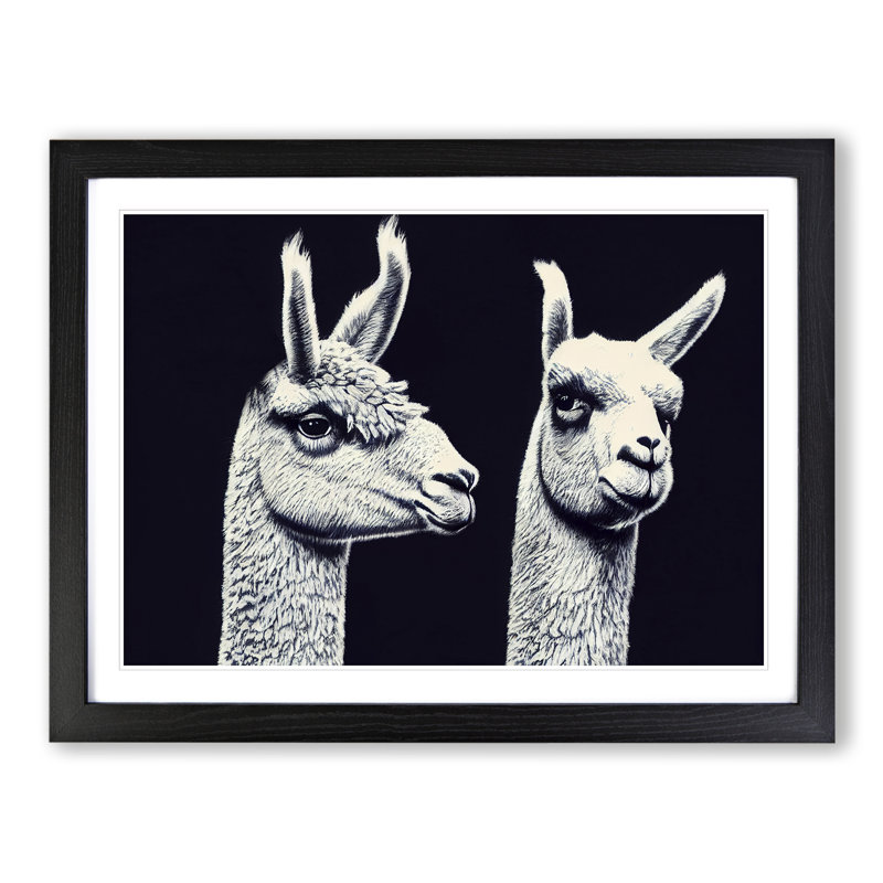 Two Llamas Vol.4 - Single Picture Frame Print, Black Framed, 34cm H x 46cm W x 2cm D