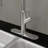 Keeney Pull Down Kitchen Faucet-55036629