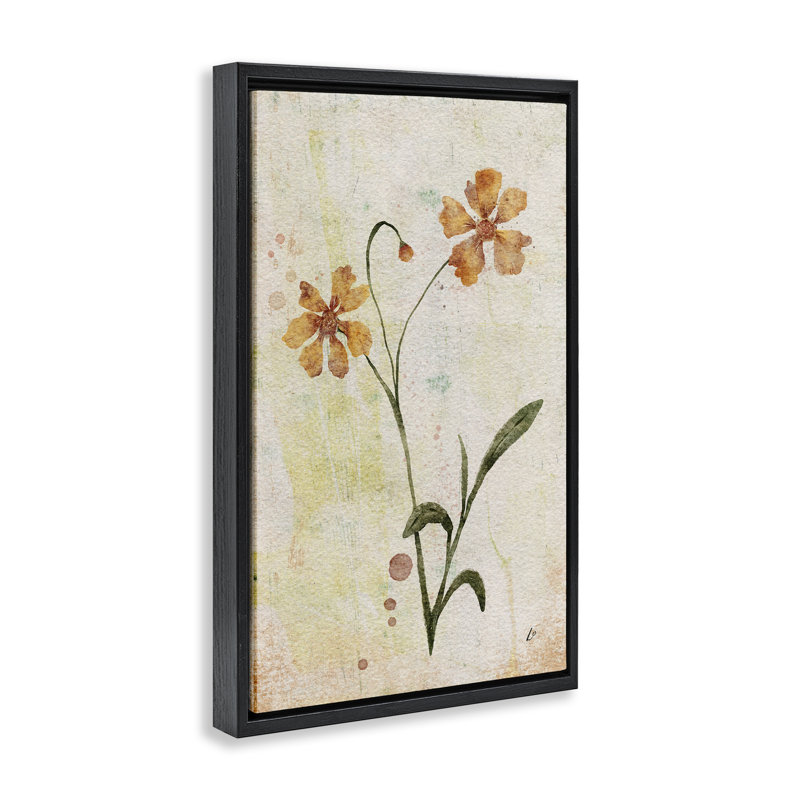  «Ceropsis Flower Sprig» par Lydia Orange, Cadre flottant noir de jais, H 25 po x l 17 po