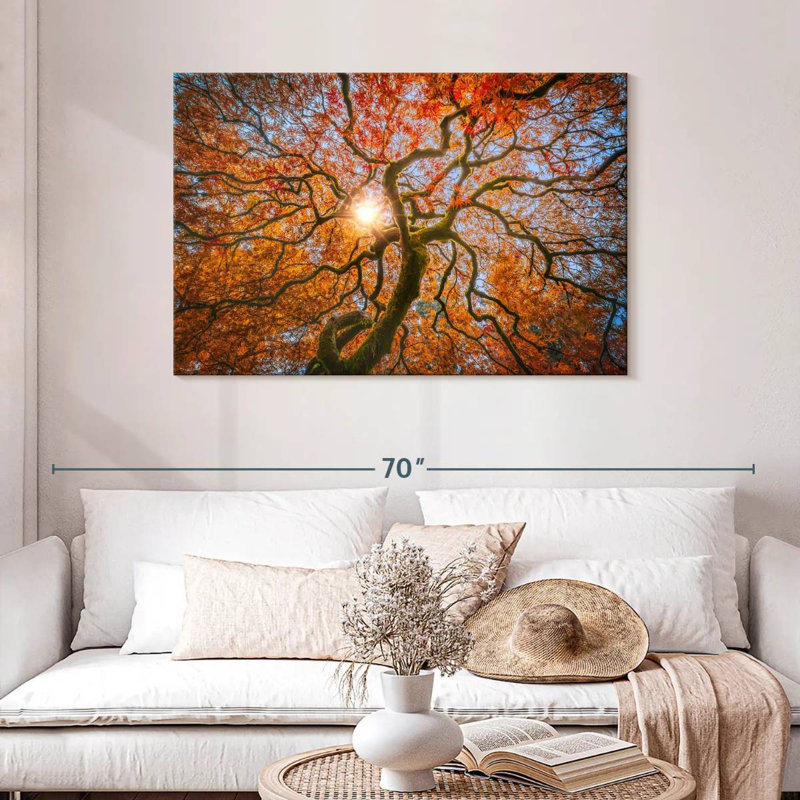 Harnek Japanese Maple Tree, 30" H x 45" W