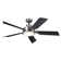 54'' Ceiling Fan with LED Lights
