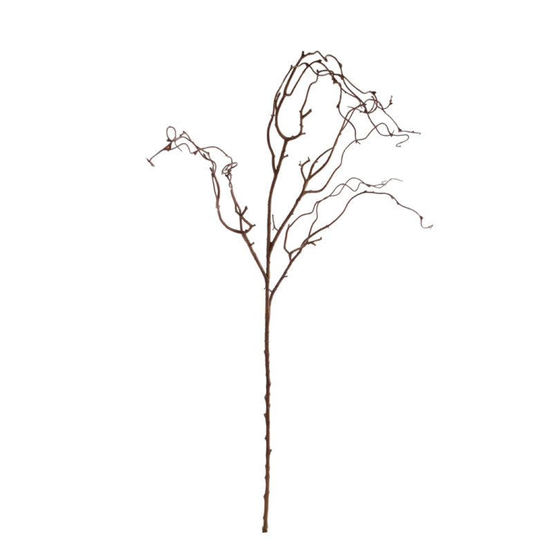 41'' Tall Twig Branch