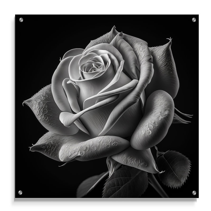 Blossoming Rose On I - Rose Acrylic Wall Art Decor, 16" H x 16" W