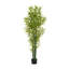 Ensemble de plantes Nadia-132797842-132797843