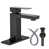 Oiled Rubbed Bronze