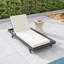 Lounge Chaisewith Lounge Cushion-1872382478