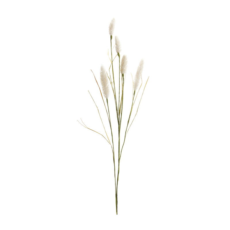 Arrangement