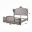 Lit Ariadne CK-1049113988