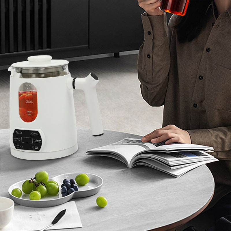 Electric Tea Kettle with Temperature Control, White