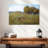 Alvord Spring Day Meadow-107867961