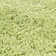Assar Solid Colour Handmade Tufted Polyester Area Rug in Lime