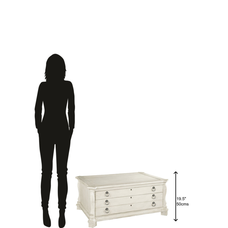 TABLE DE RANGEMENT