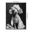 «Spa Day Pooch» par Hostetter, reproduction d'art sur toile encadrée-151820916