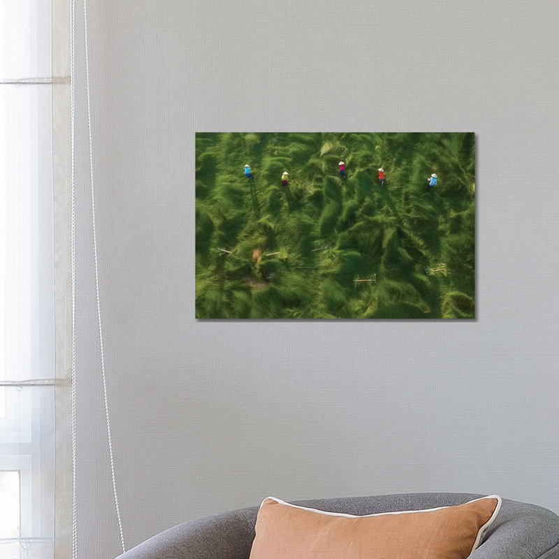 Water-Chestnuts Harvesting by Trung Pham - Wrapped Canvas Gallery-Wrapped Canvas Giclée, 45.72 cm H x 66.04 cm W