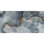 Splendor 24'' W x 48'' L Porcelain Singular Tile