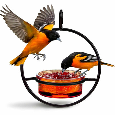 Diedra Hanging Tray Bird Feeder