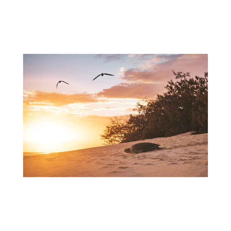 Sunrise Turtle On Beach by James Vodicka - Wrapped Canvas Gallery-Wrapped Canvas Giclée, 45.72cm H x 66.04cm W