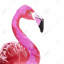 Watercolor Proud Flamingo Profile - Toile rose, décoration intérieure