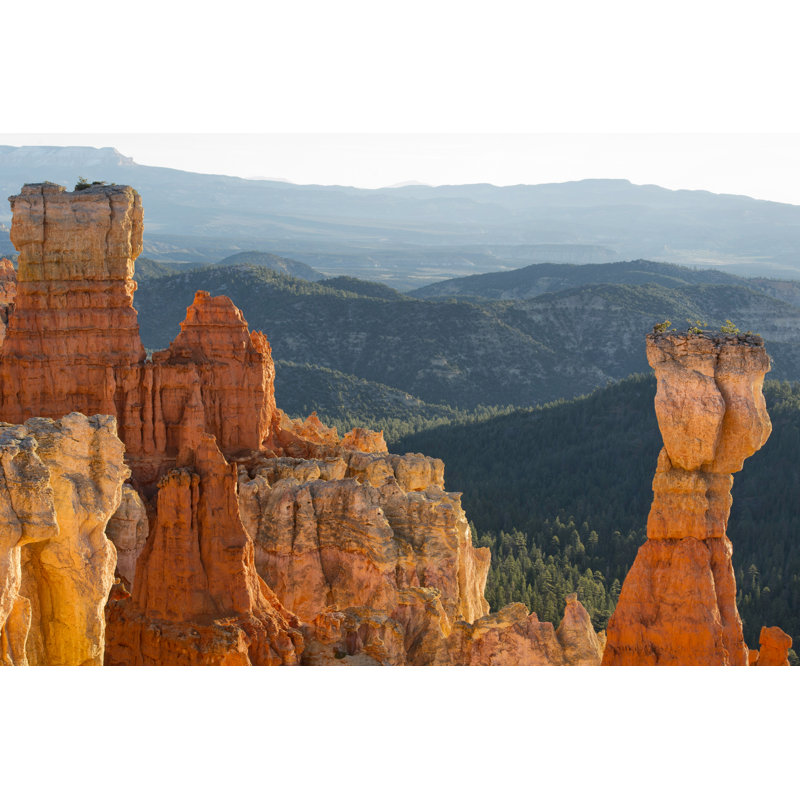 On the Rocks, Utah by Danny Head - Photograph, 51cm H x 76cm W, Wrapped Canvas