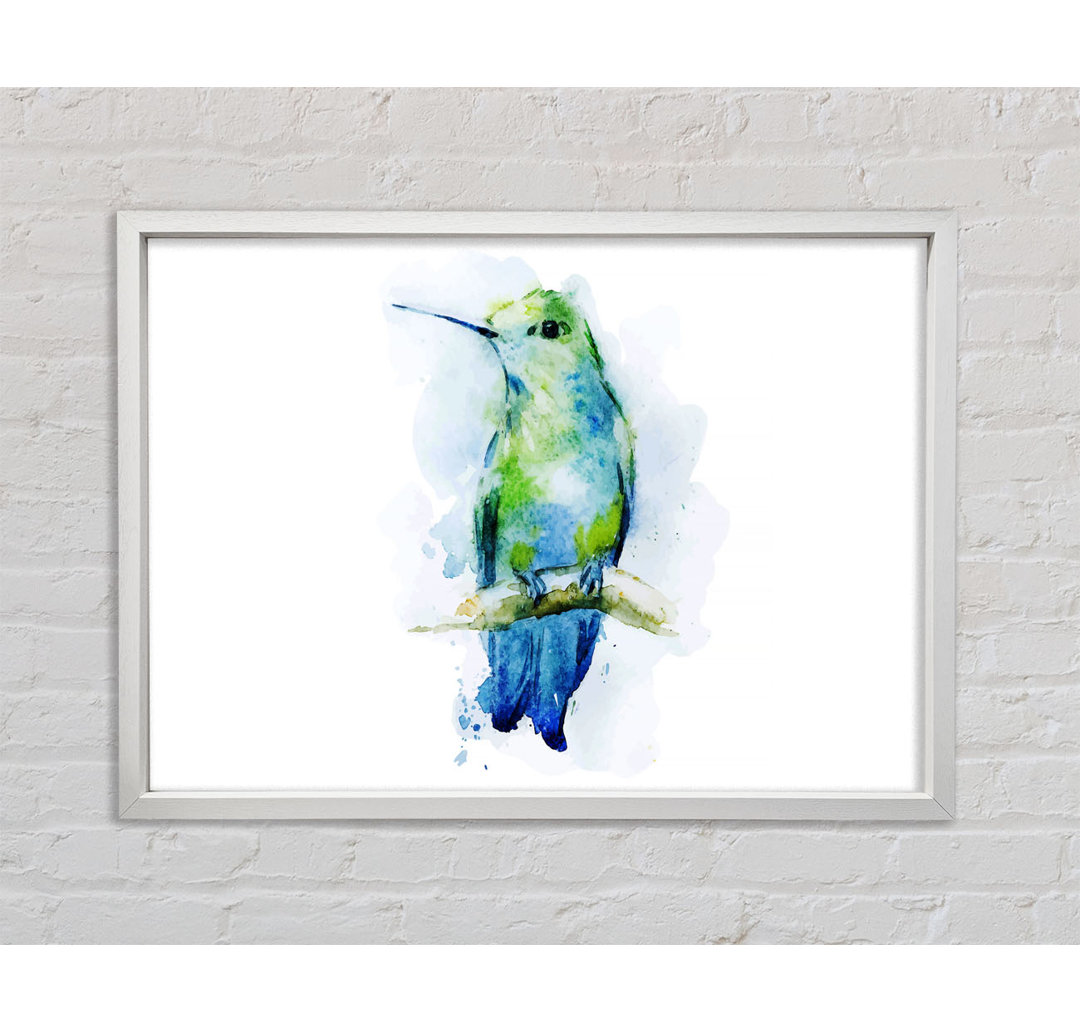 Hummingbird Branch - Einzelner Bilderrahmen Kunstdrucke auf Leinwand