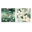 Mangrove Serenity - motif tropical - ensemble de 2 collages floraux carrés-101855397-101855399