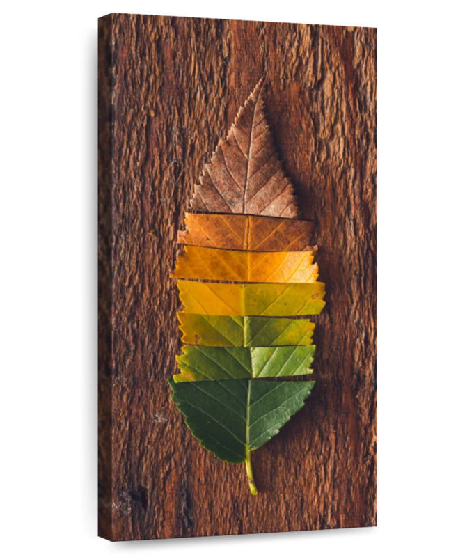 Couleurs de feuilles d'automne, H 24 po x l 12 po