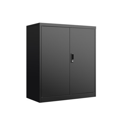 Storage Locker,File Organizer, Storage Cabinet With Door Locks And Two Adjustable Shelves, Suitable As A Cabinet For Home, Office, School & Garage Use by Ebern Designs