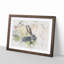 Hare in the Bushes - Framed Print-56735732-56735734