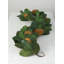 Allport 72'' in. Faux Magnolia Garland
