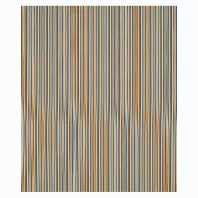 Sinoir Stripe Fabric