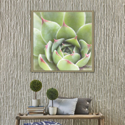 « jardin plantes grasses iii color », reproduction de photo sur toile tendue encadrée