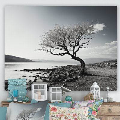 Beautiful Tree Black And White Lake Photography On Canvas Print