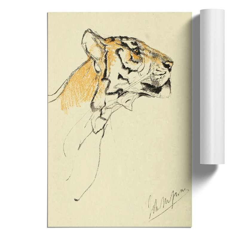 Study of a Tiger by John Macallan Swan - Frameless Print, 30cm H x 21cm W x 0.1cm D