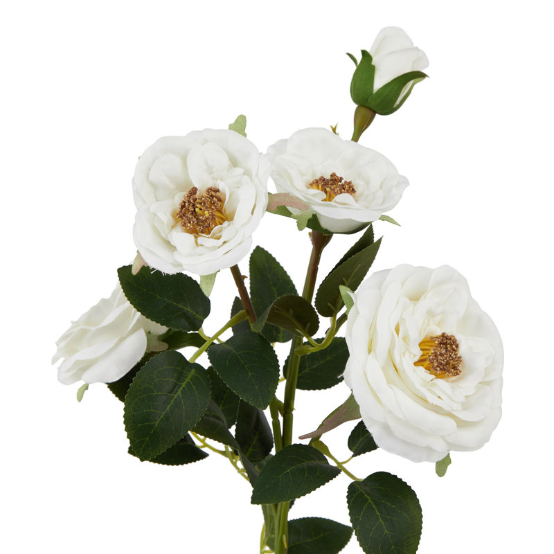 Arrangement
