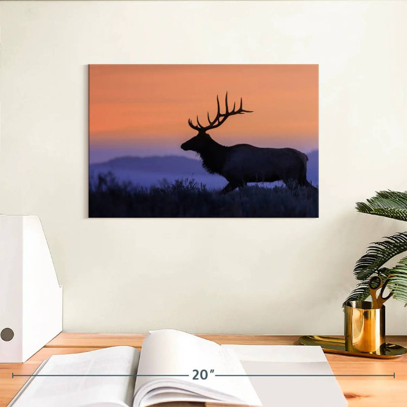 Wapiti brulé contre le coucher du soleil, H 8 po x l 12 po