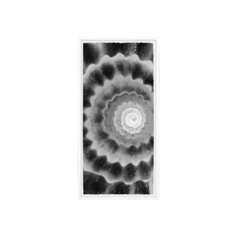 «Architectonical Spiral II» par Harold Davis - Impression sur toile, Couche de verre, H 30 po x l 15 po