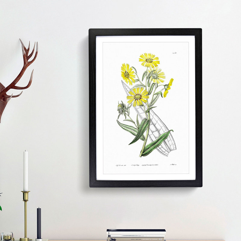 Yellow Daisies - Picture Frame Painting Print, 36cm H x 27cm W x 2cm D, Black Framed