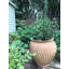 Mairead Handmade Pot Planter-14486274