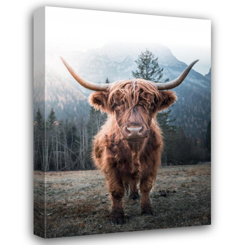 Art sur toile tendue avec la galerie Red Barrel Studio® Braun Studio: Highland Cow, H 18 po x l 14 po