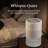 Levoit Superior Studio Smart Evaporative Humidifier