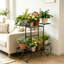 Anjeli Plant Stand