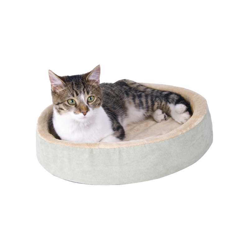 Orthopedic Bolster Pet Bed