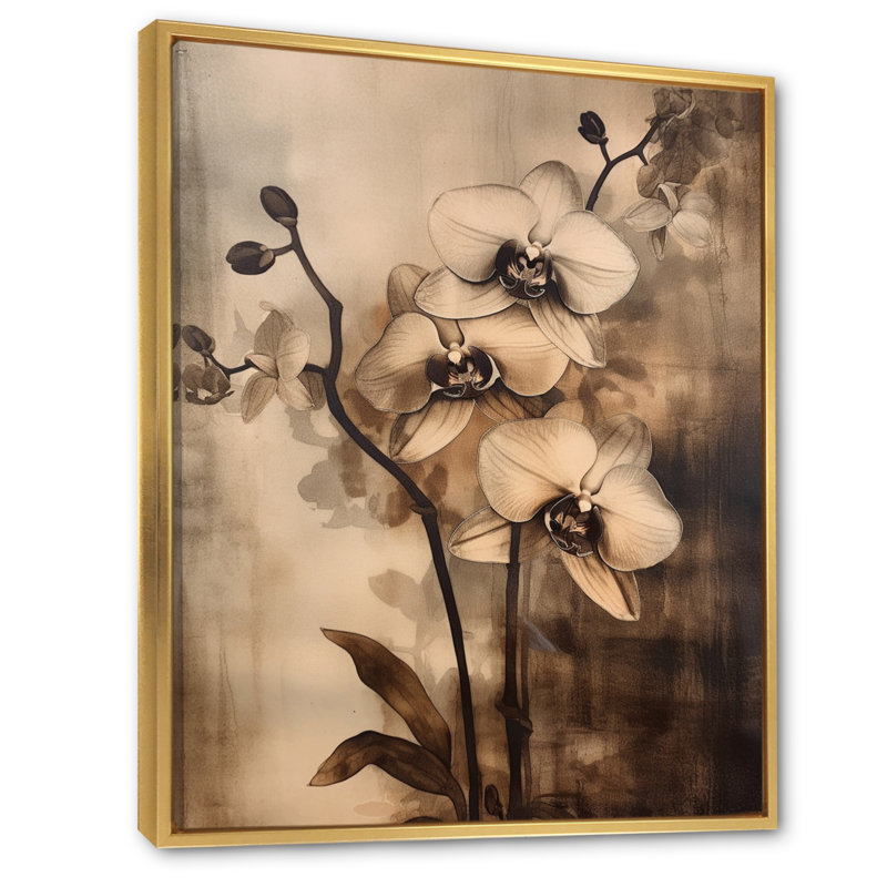 Orchidées exotiques brunes sur toile, H 20 po x l 12 po x P 1 po, Cadre flottant doré