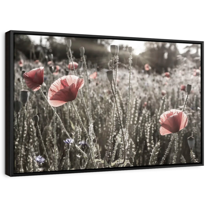 «Poppy Impression Vintage Color Pop Art», H 9 po x l 13 po