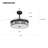 Magel 42'' Ceiling Fan with LED Lights