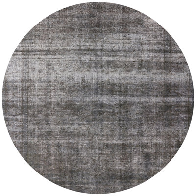 Iseminger Indoor Rug