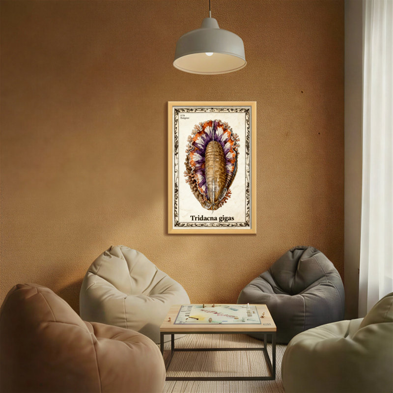 Animaux, reproduction de coquillage Tridacna Gigas