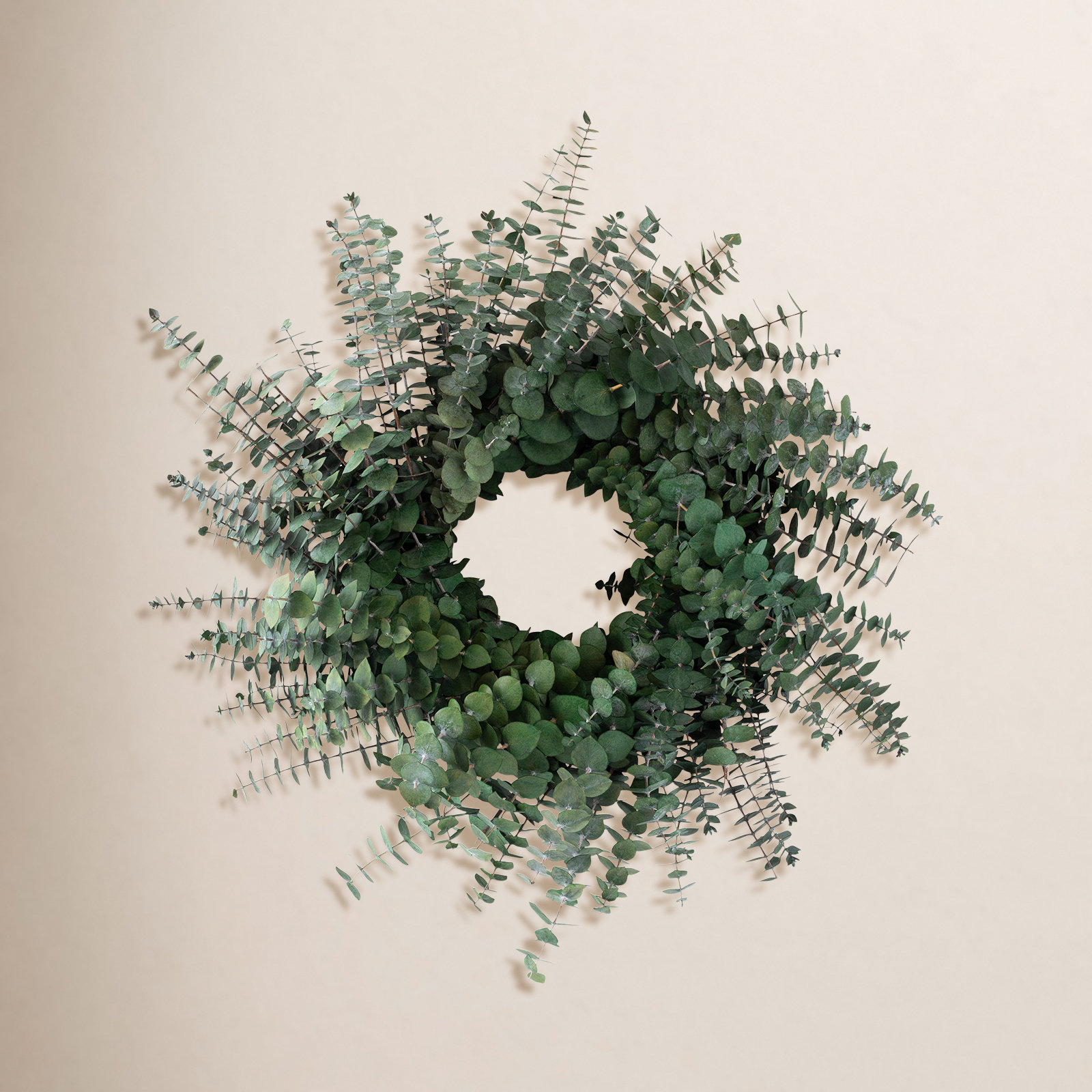19'' Handcrafted Preserved Eucalyptus Baby Eucalyptus Wreath, Green