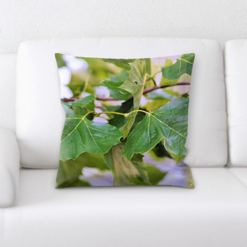 Coussin de feuilles